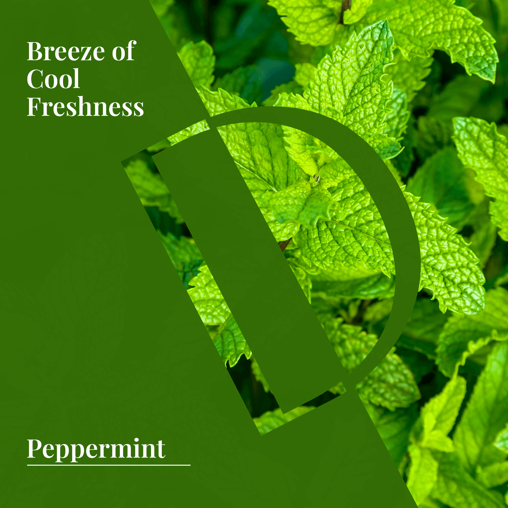 Peppermint Organic Wellness Grade Essential Oil - Delune