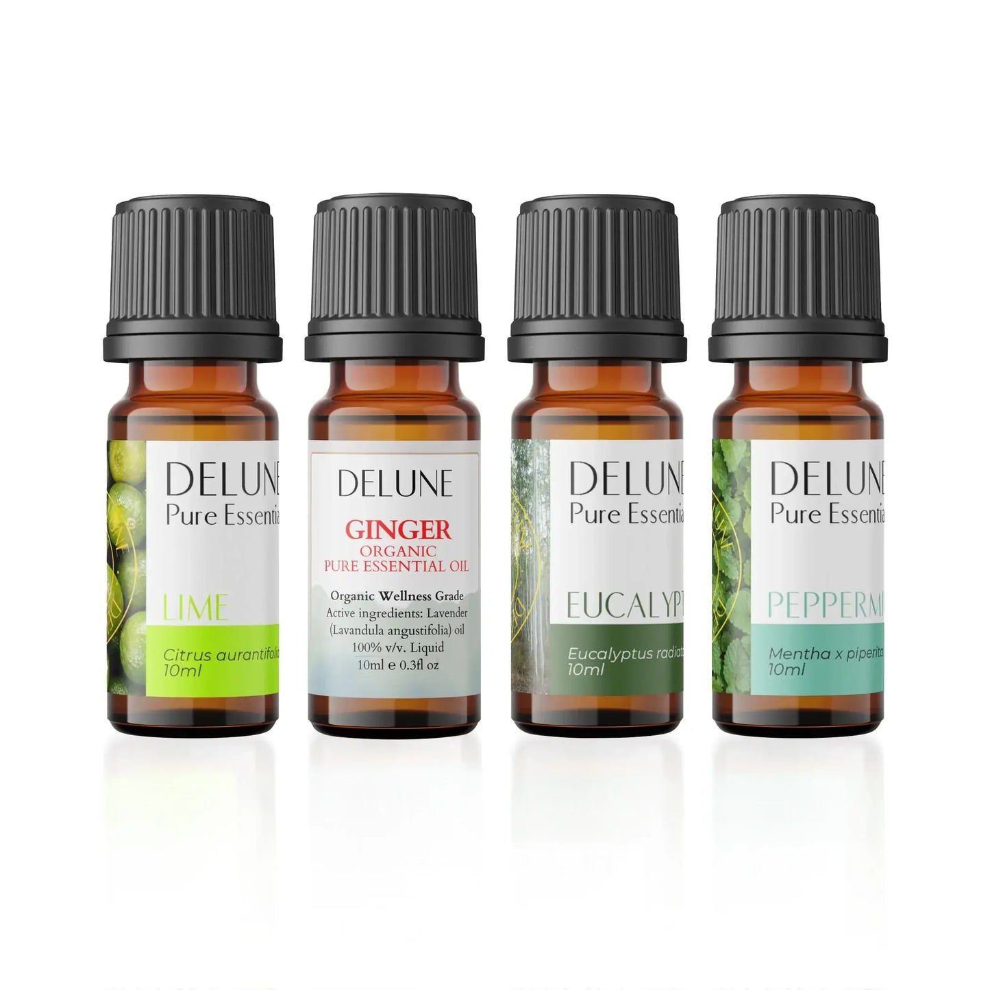 Smell Training - 4 Pack Set - Delune