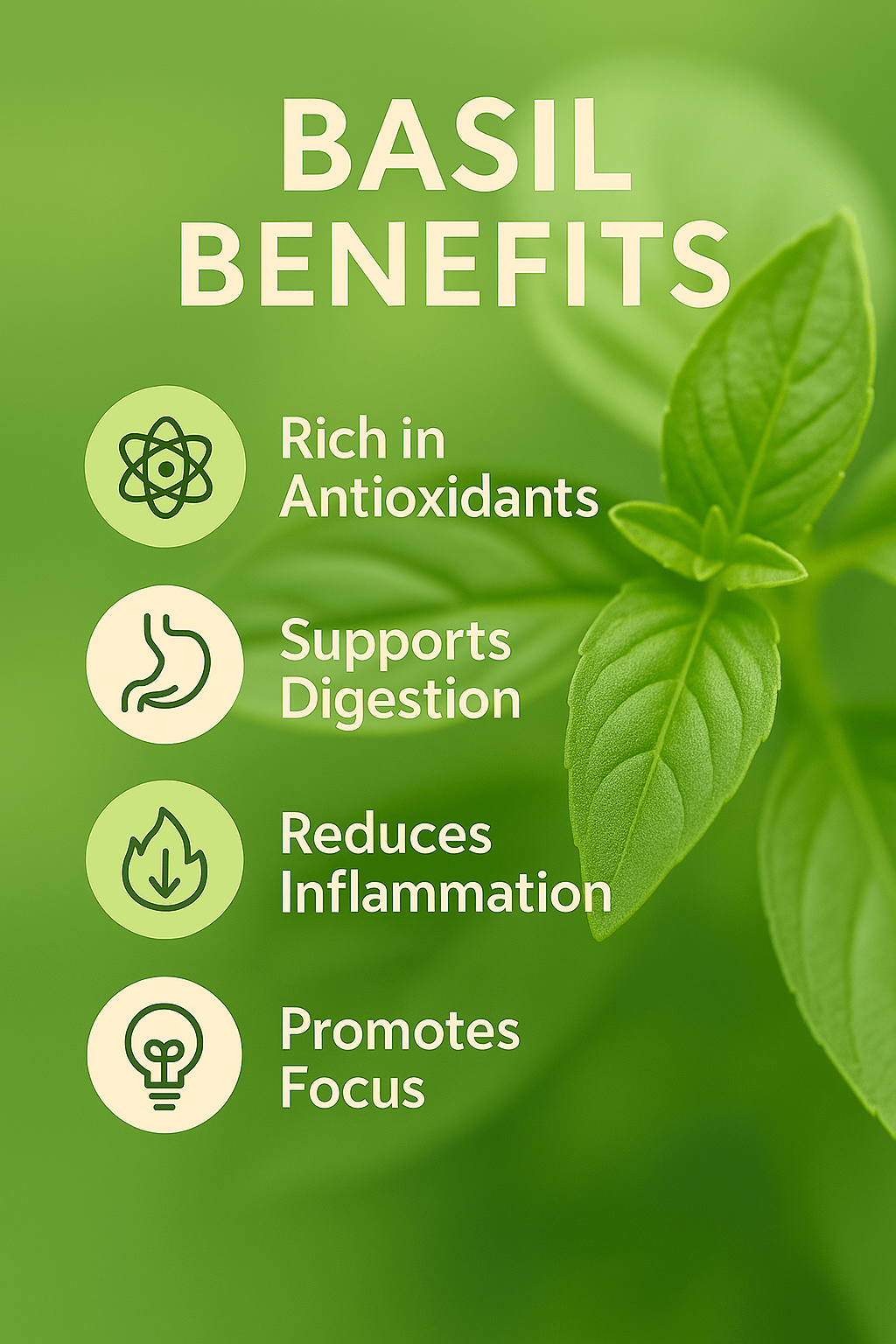 basiloilbenefits - Delune