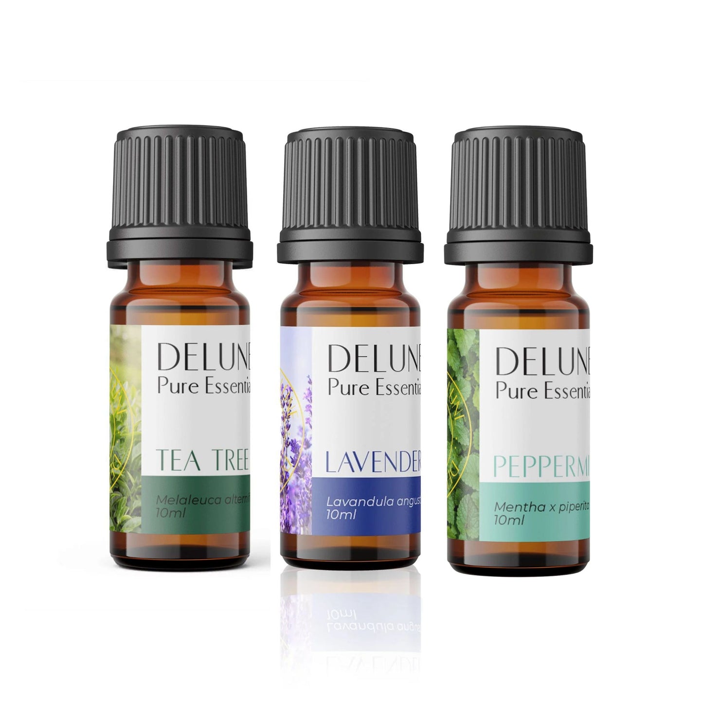 Daily Go-To's Essential Oils Trio Bundle - 3 Pack Set - Delune