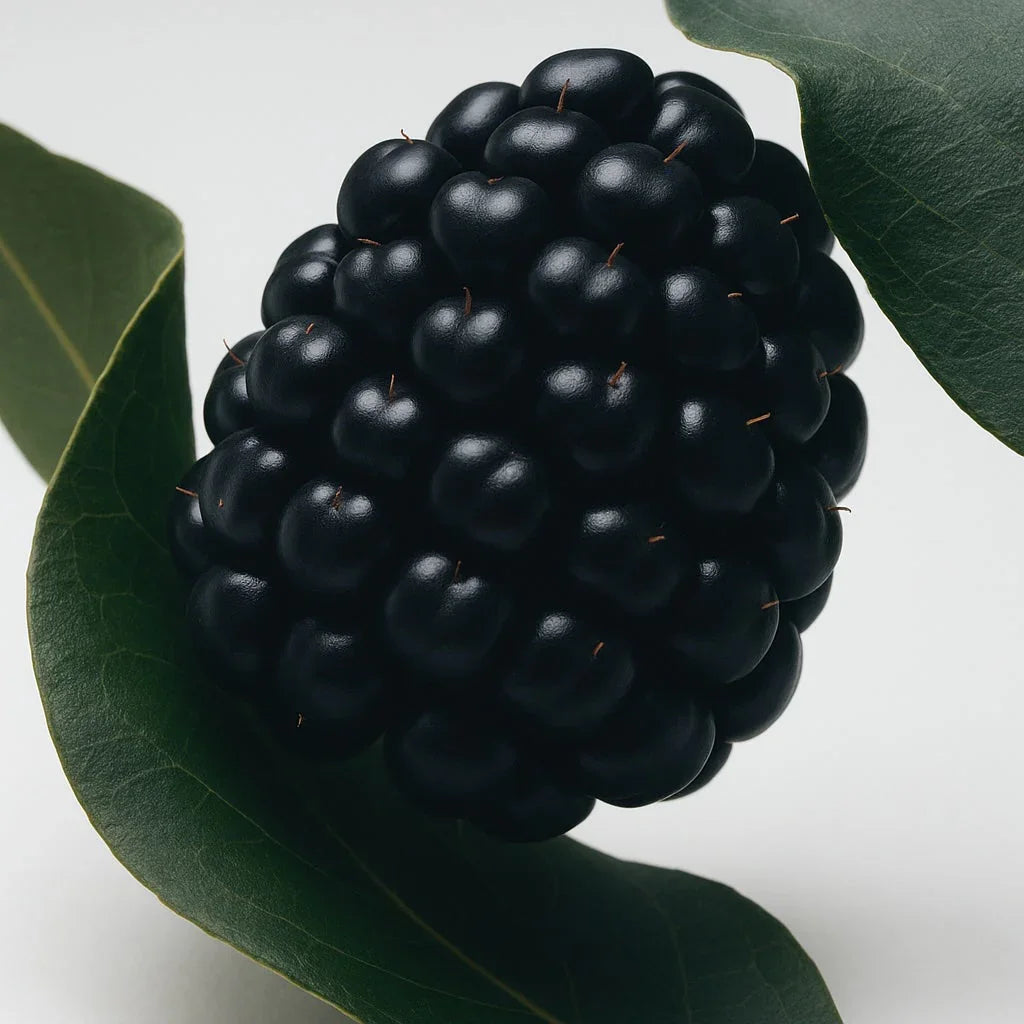 Bramble & Blackberry - Eau de Parfum - Delune