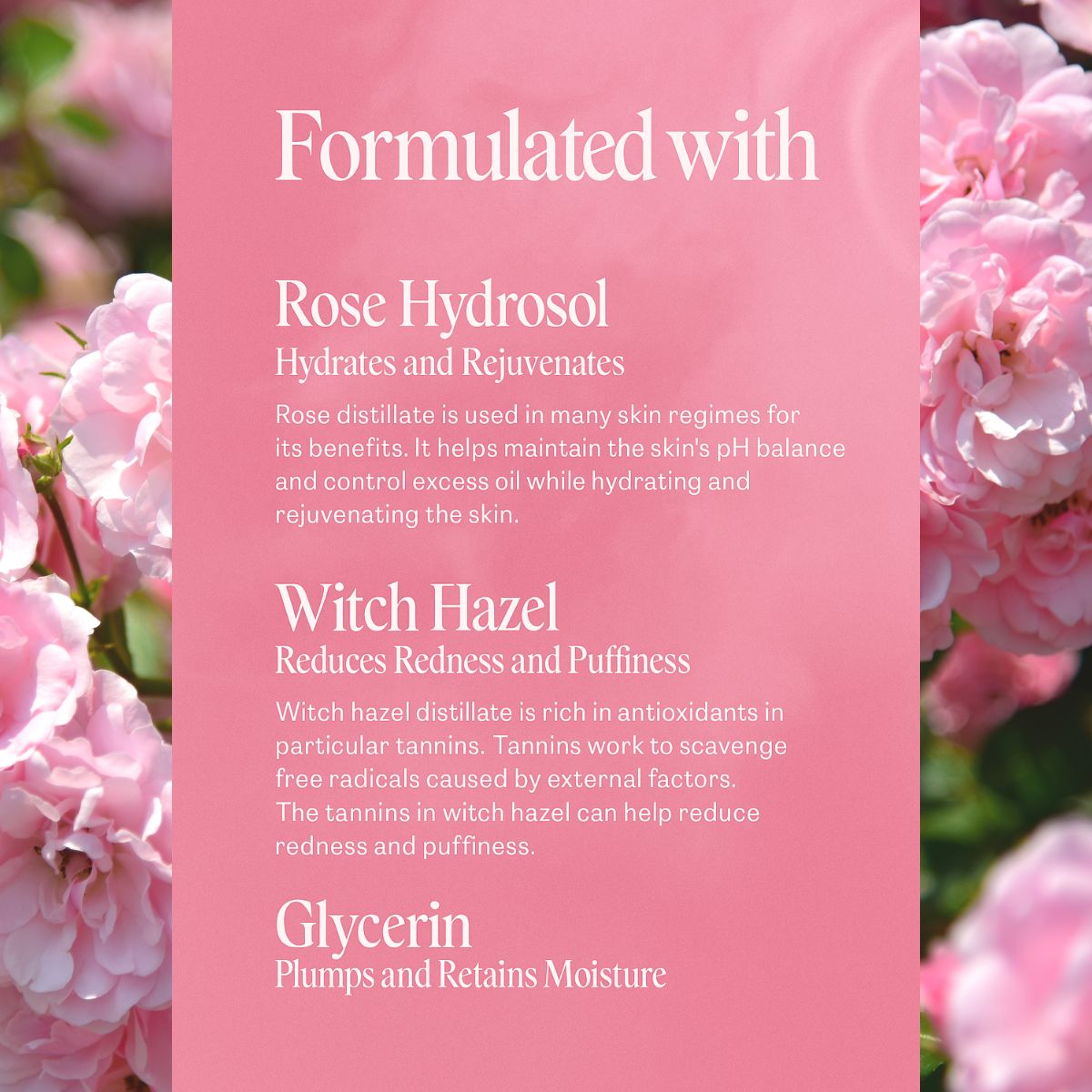 Awake Rose Hydrosol Toner - Delune