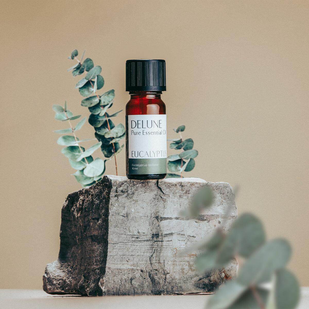 Eucalyptus Pure Essential Oil - Delune