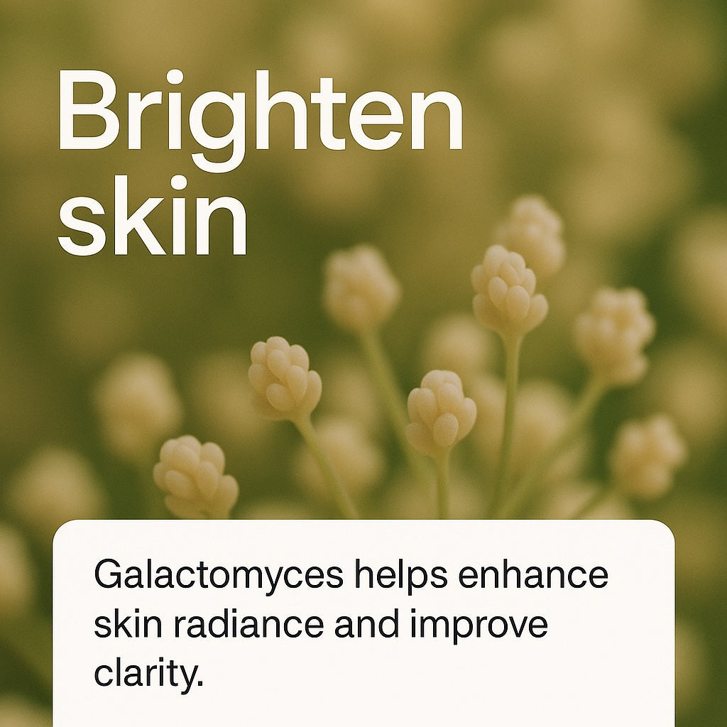 Galactomyces 100% Brightening Essence - Delune