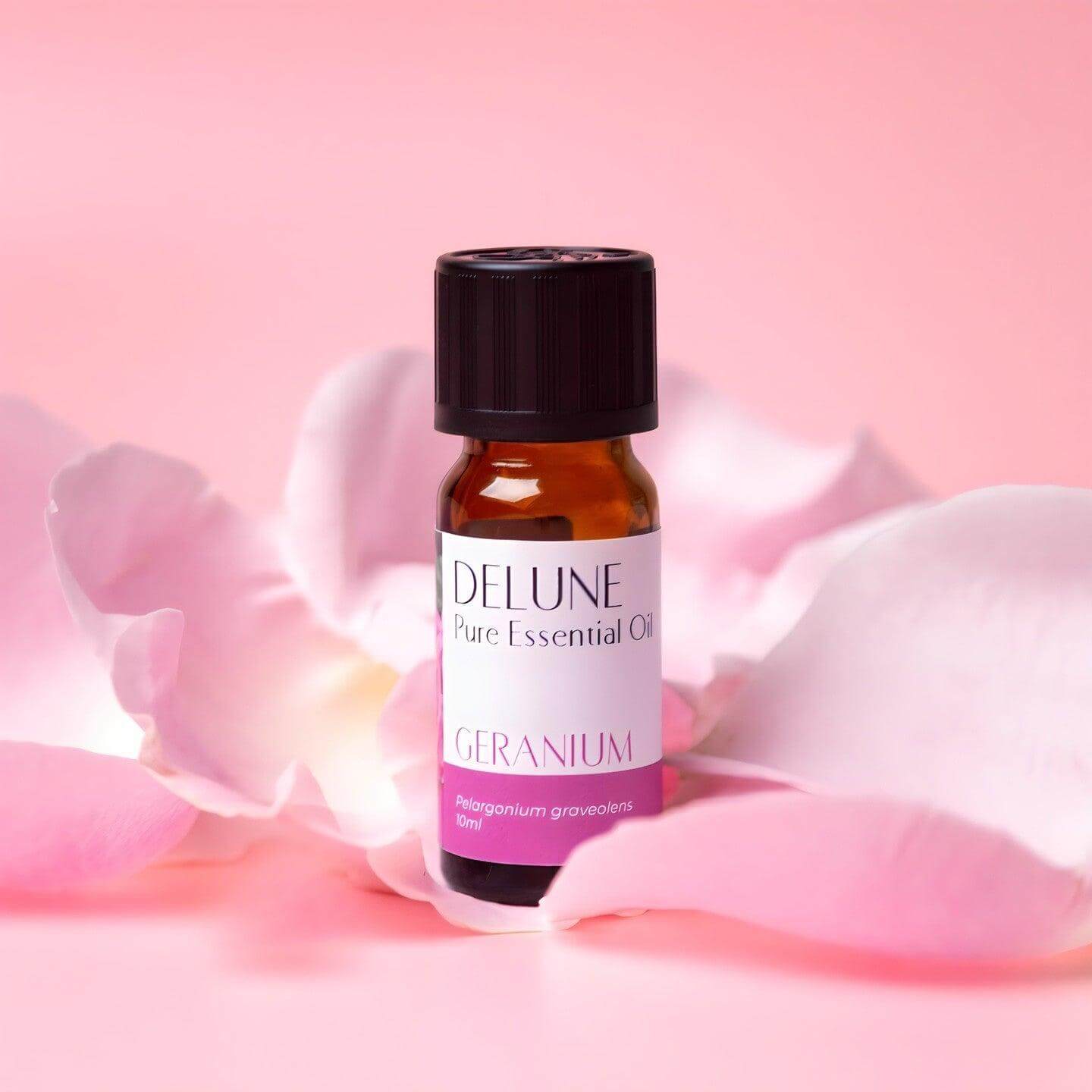 Geranium Pure Essential Oil - Delune