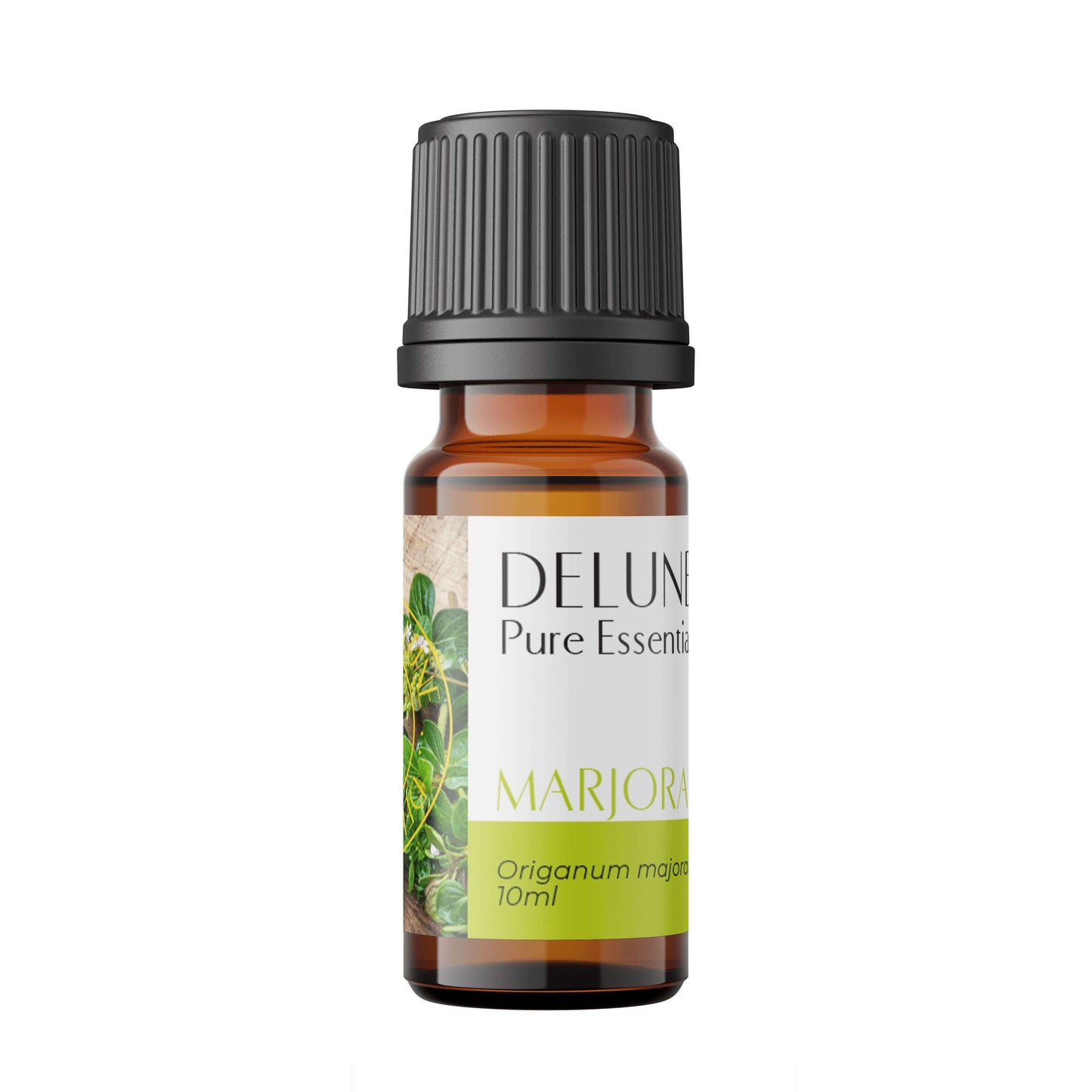 Marjoram Pure Essential Oil - Delune