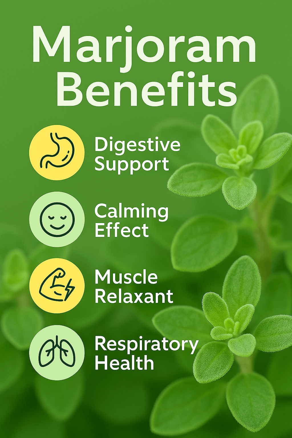 Marjoram Pure Essential Oil - Delune