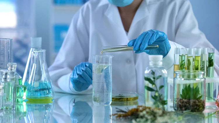 1_dff74756-936e-44f0-bdba-4a60f67f094f - Delune 