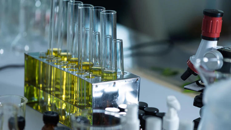 3_e8133893-24a7-4054-883e-8a869ce8da32 - Delune