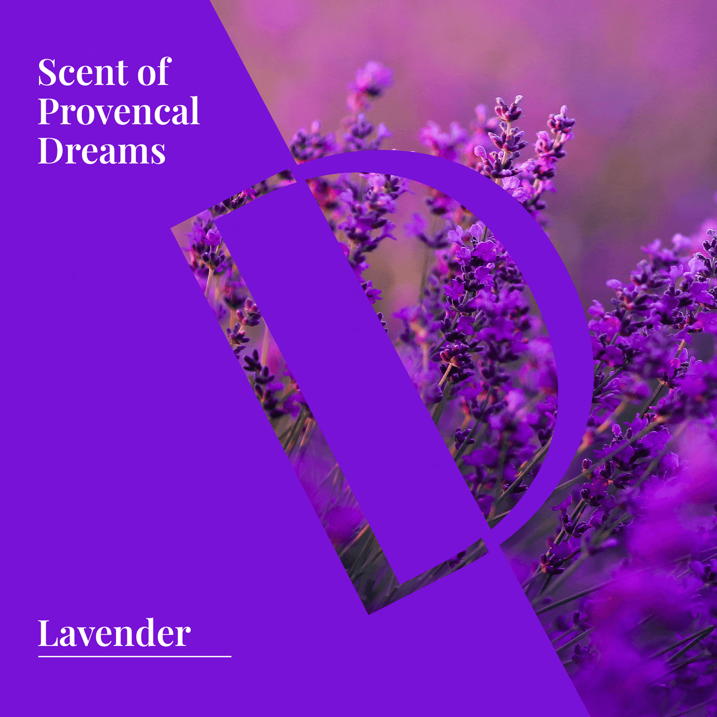 Lavender Organic Wellness Grade Essential Oil - Delune 