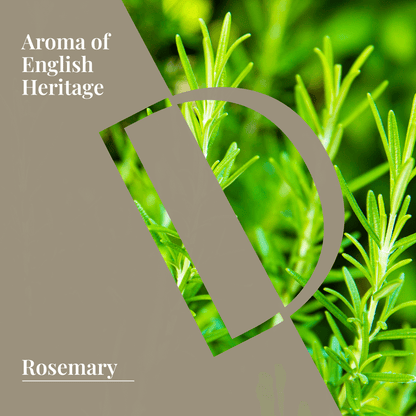 Rosemary Organic Wellness Grade Essential Oil - Delune 