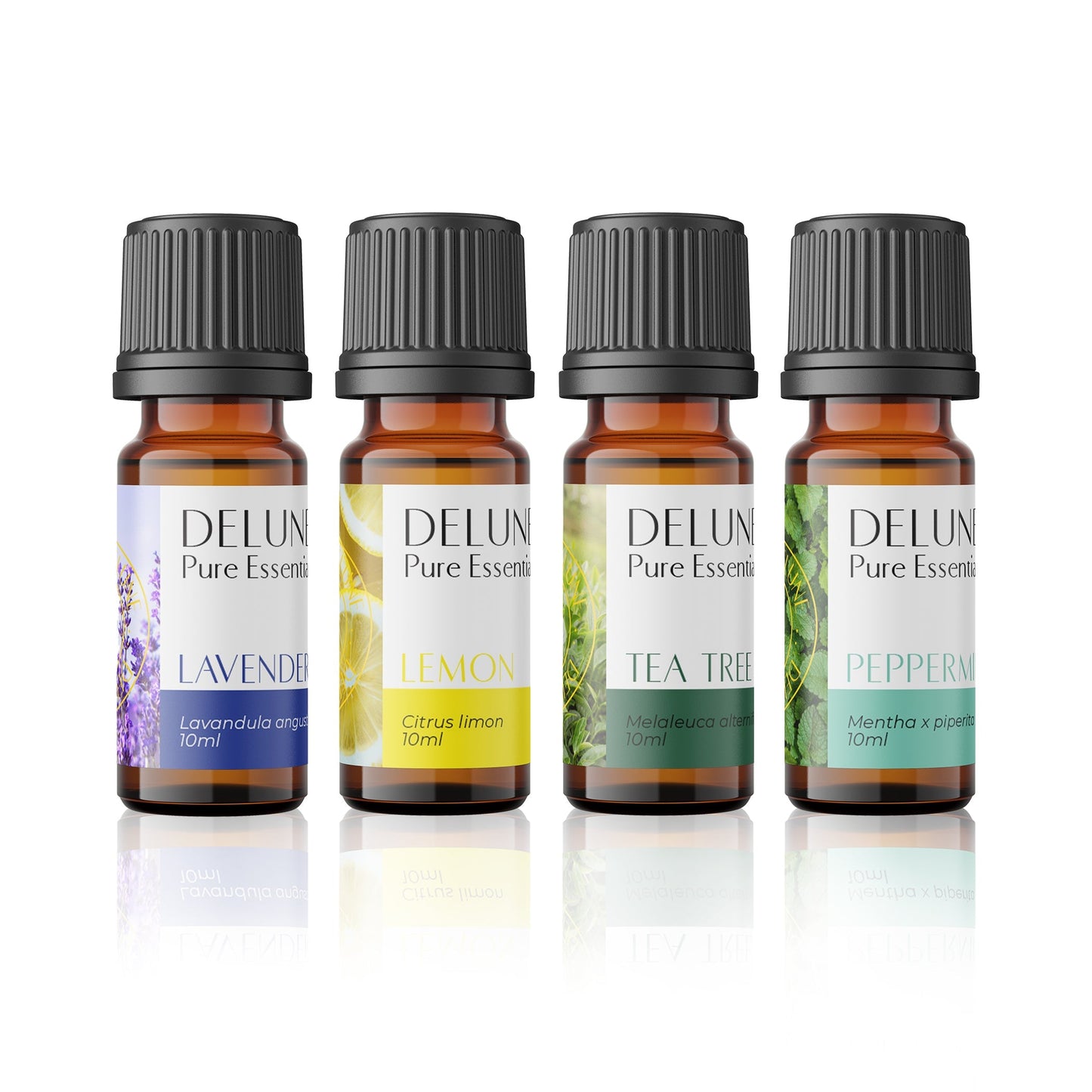 Essential Starters - 4 Pack Set - Delune 