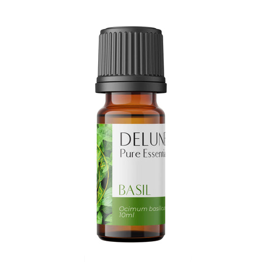 basil-pure-essential-oil-delune-dubai - Delune