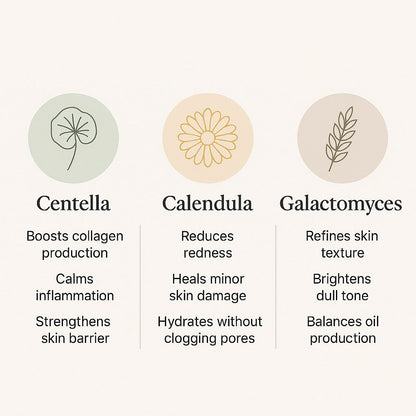 centella-calendula-galactomyces-skincare-benefits-infographic_ea59cd01-db77-4593-96fe-c4bfc8bbbc03 - Delune 