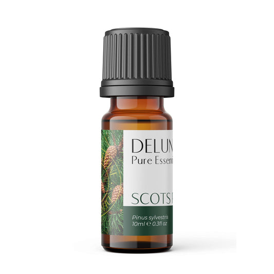 Delune Scots Pine Pure Essential Oil 10ml bottle