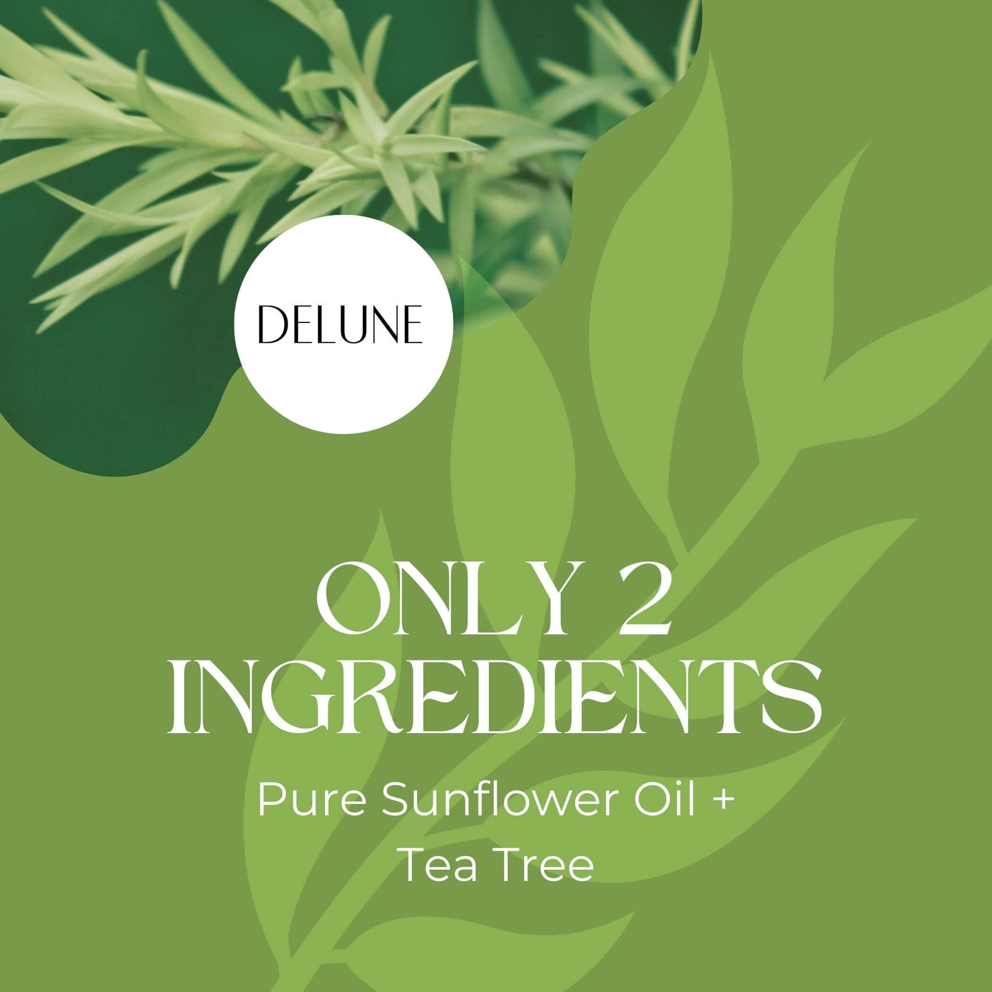 Tea Tree Body Oil - Delune 