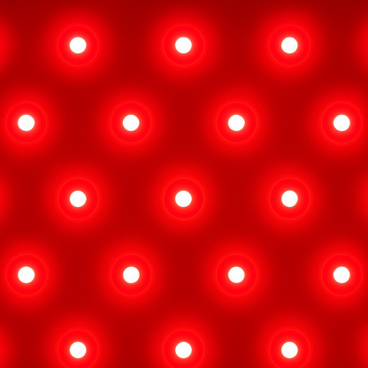 LED Facial Mask Le Professionnel - Delune 