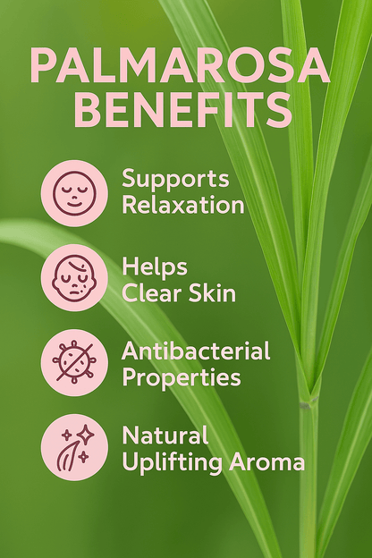 Palma Rosa Pure Essential Oil - Delune 